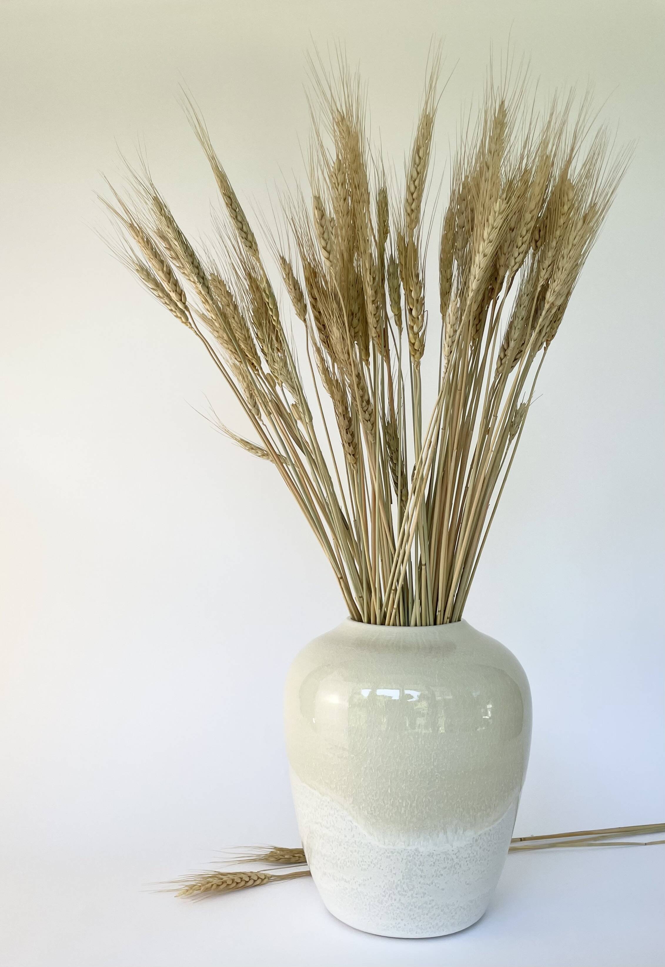 Cream glazed vase holding tall dried wheat stalks