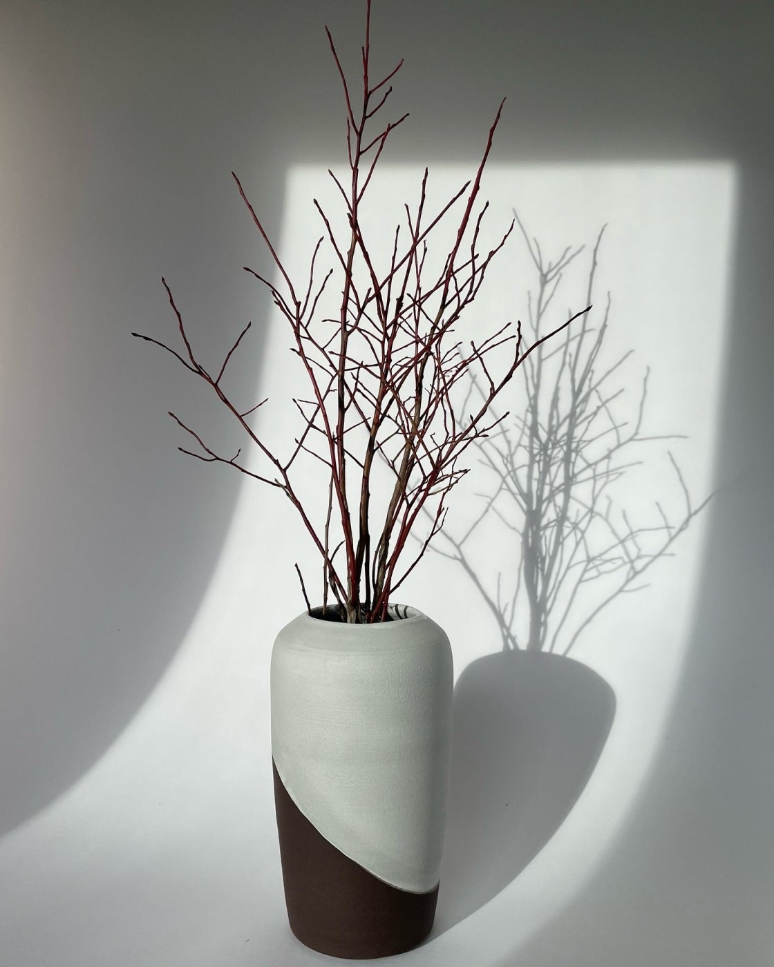 Cream and dark-clay vase holding bare branches, casting a shadow on the wall
