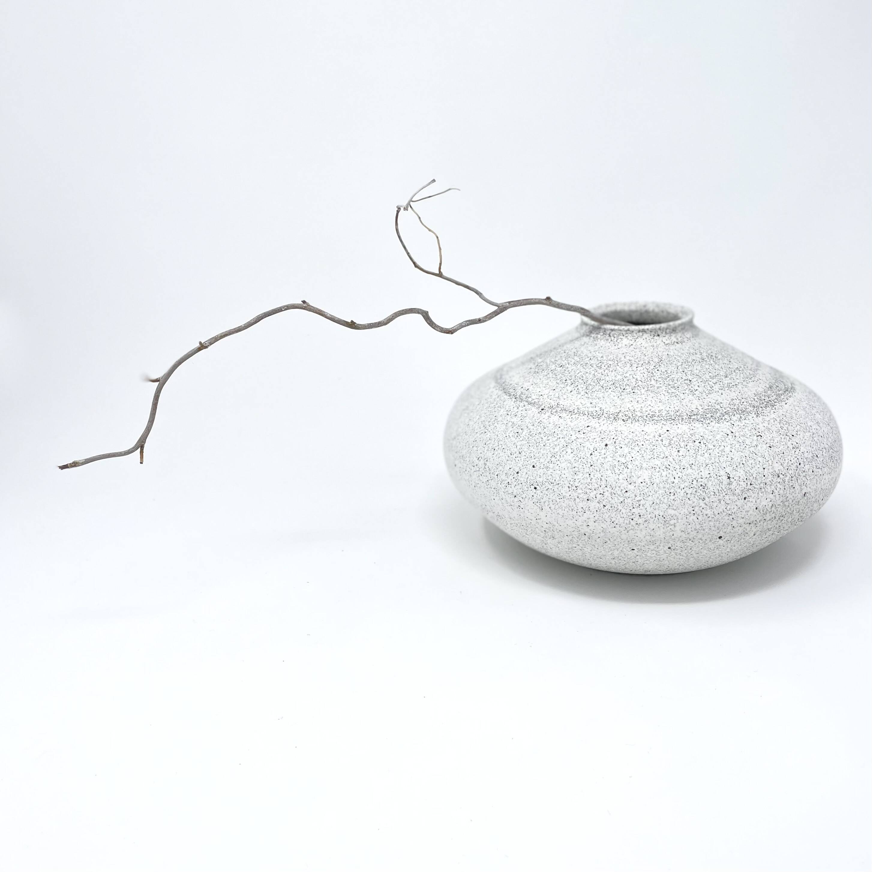 Low round white speckled vase with a long curling branch