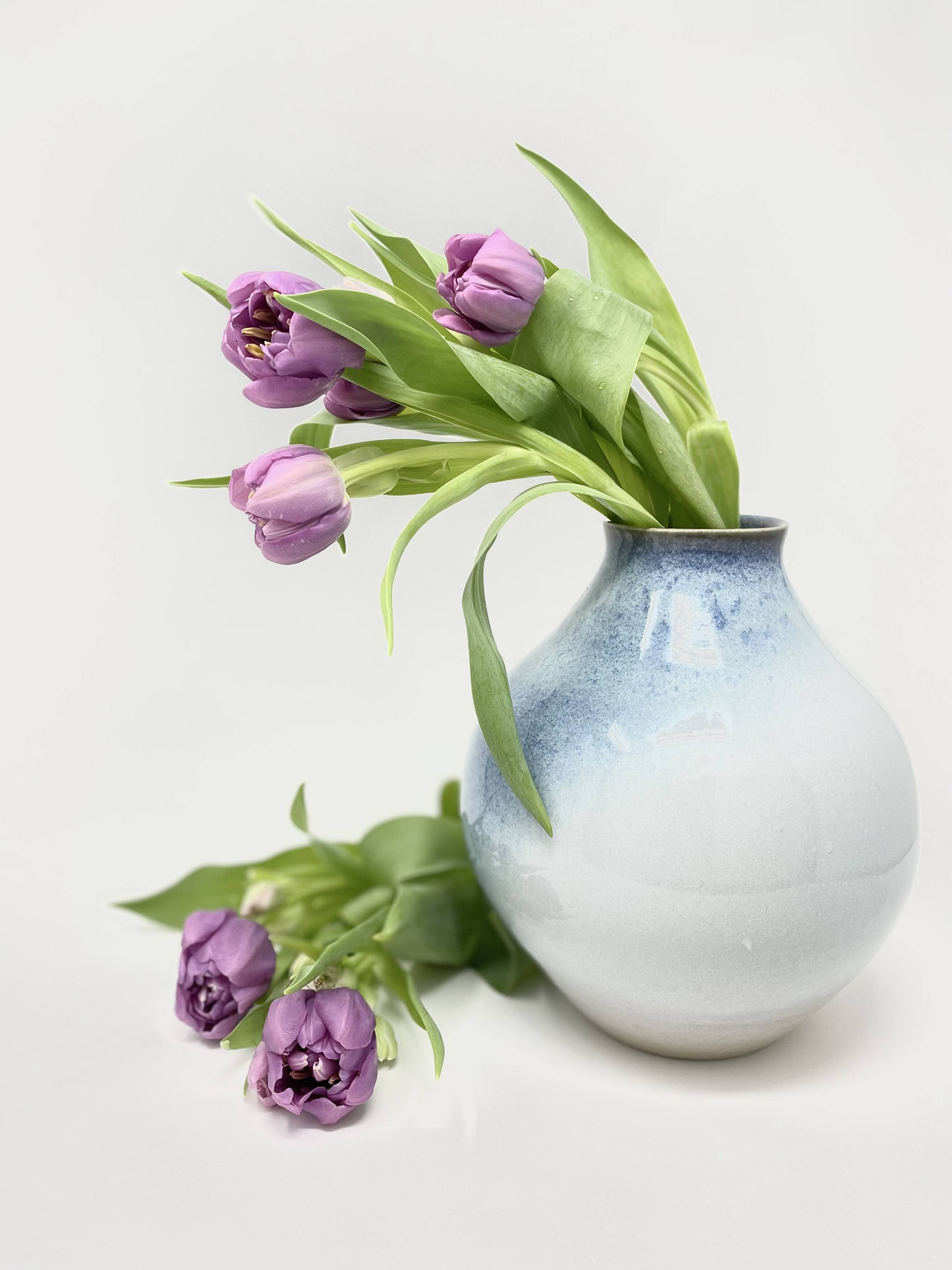 White-and-blue bud vase holding purple tulips